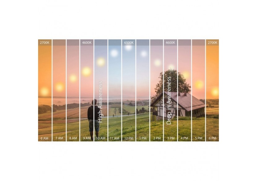 Ampoule LED GU10 7W SMD 2835 665lm diamètre 50mm 120 degrés - B522BF2 - Barcelona LED