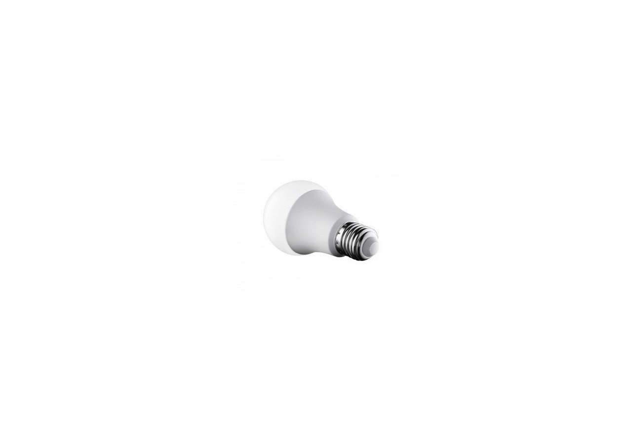 Ampoule LED E27 14W A65 1400 lumens - BS1-A65E27-BN5 - Barcelona LED