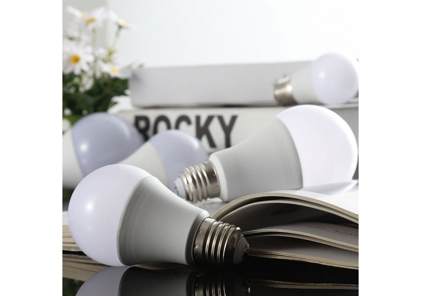 Ampoule LED E27 14W A65 1400 lumens - BS1-A65E27-BN5 - Barcelona LED