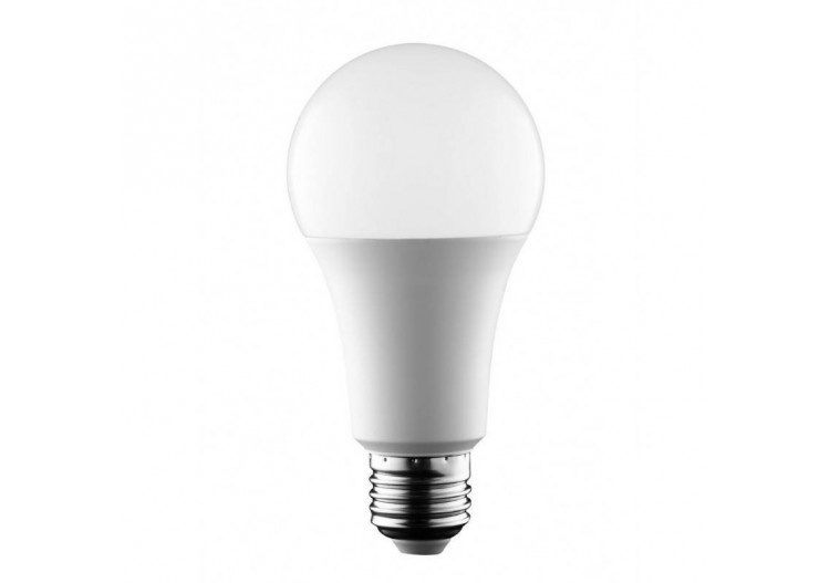 Ampoule LED E27 14W A65...
