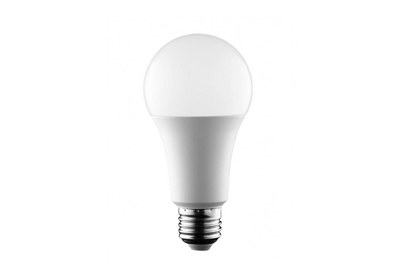 Ampoule LED E27 14W A65 1400 lumens - BS1-A65E27-BF5 - Barcelona LED