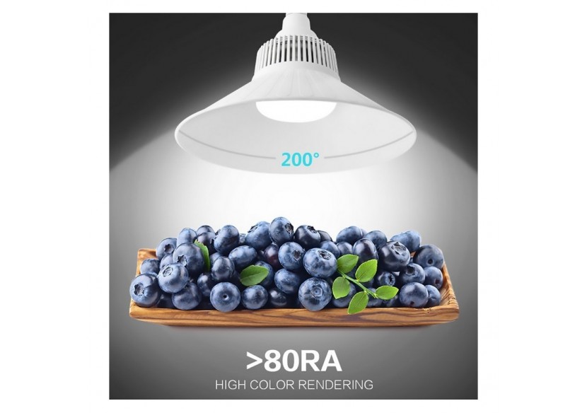 Ampoule industrielle culot E40 100W - B8600BN1 - Barcelona LED