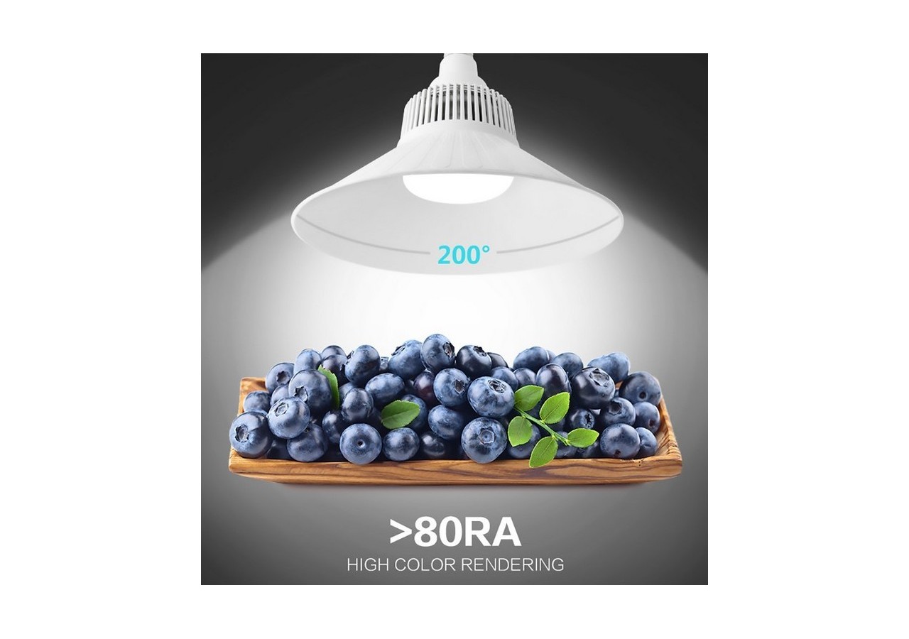 Ampoule industrielle culot E40 100W - B8600BF1 - Barcelona LED