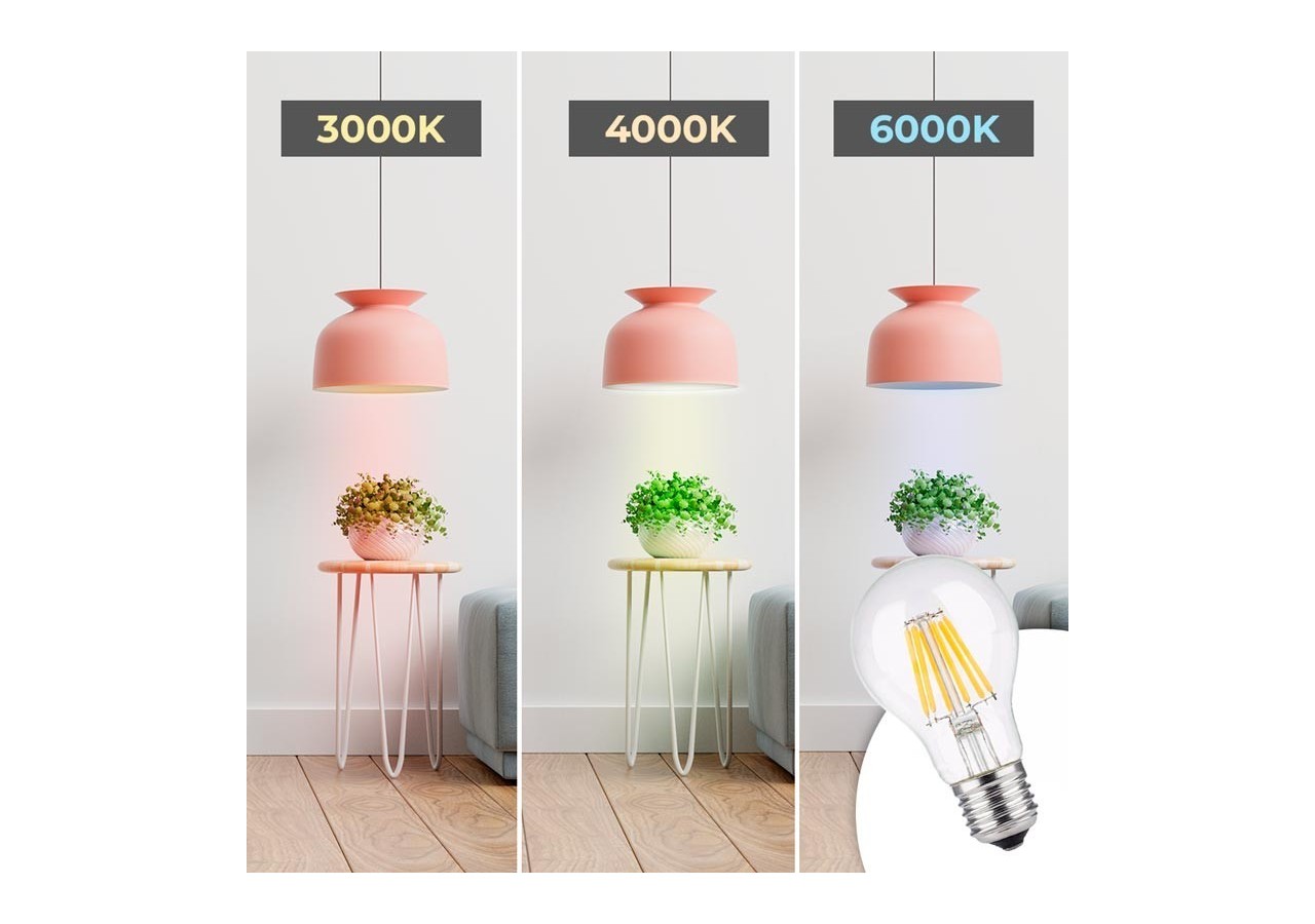 Ampoule LED E27 8W A60 Filament Clear - BF1-A60E27-BC3 - Barcelona LED