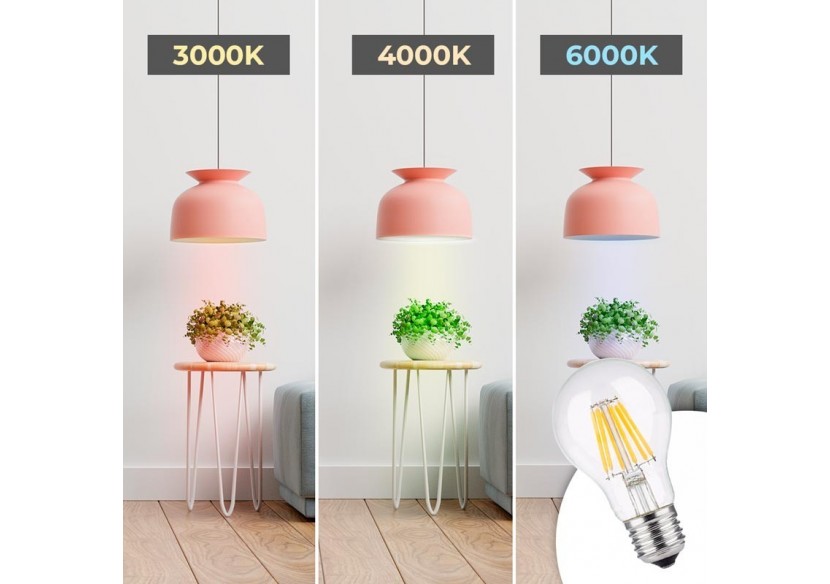 Ampoule LED E27 8W A60 Filament Clear - B1359-4-BF3 - Barcelona LED