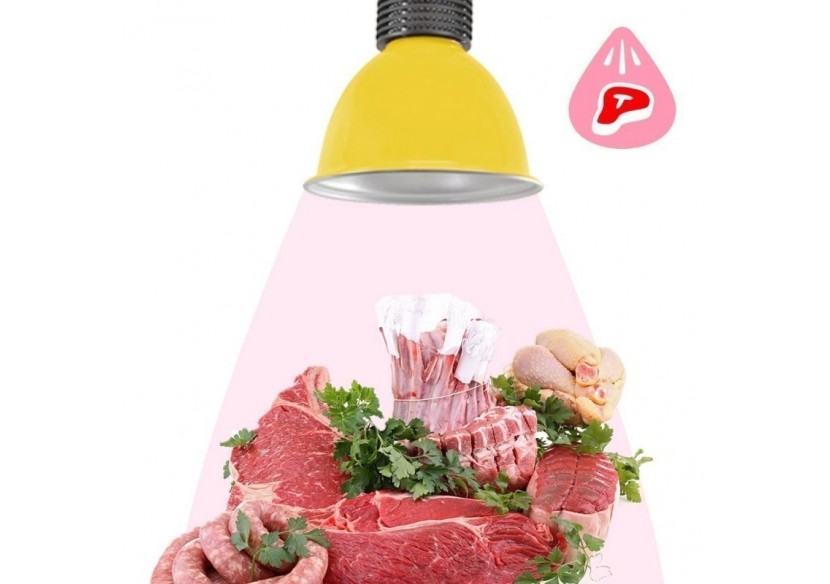 Cloche LED 30W spécial boucherie - B8700-AM-CAR - Barcelona LED