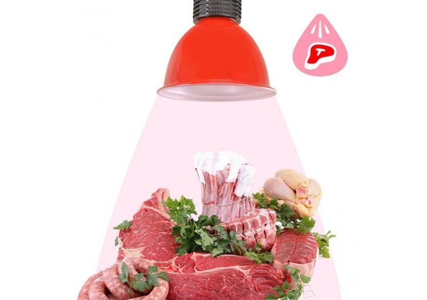 Cloche LED 30W spécial boucherie - B8700-RO-CAR - Barcelona LED