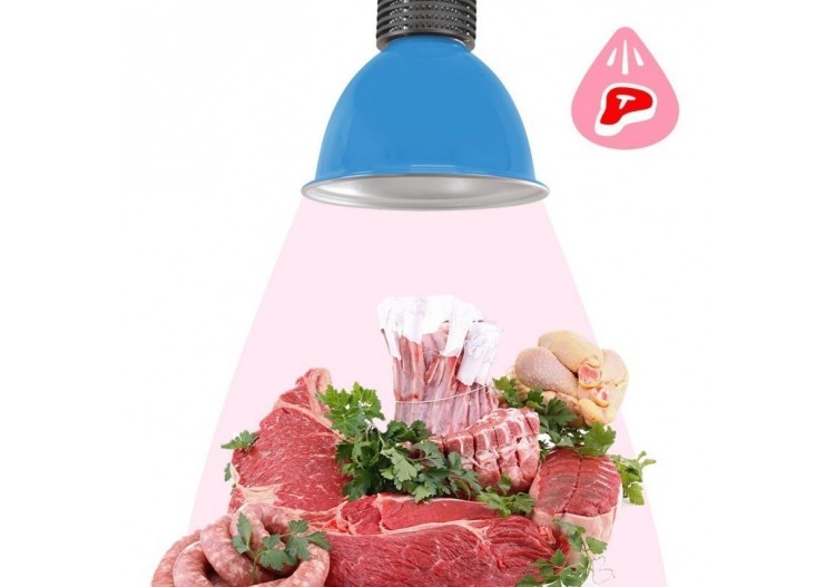 Cloche LED 30W spécial boucherie - B8700-AZ-CAR - Barcelona LED