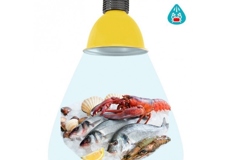 Cloche LED 30W spécial poissons et fruits de mer - B8700-AM-PYM - Barcelona LED