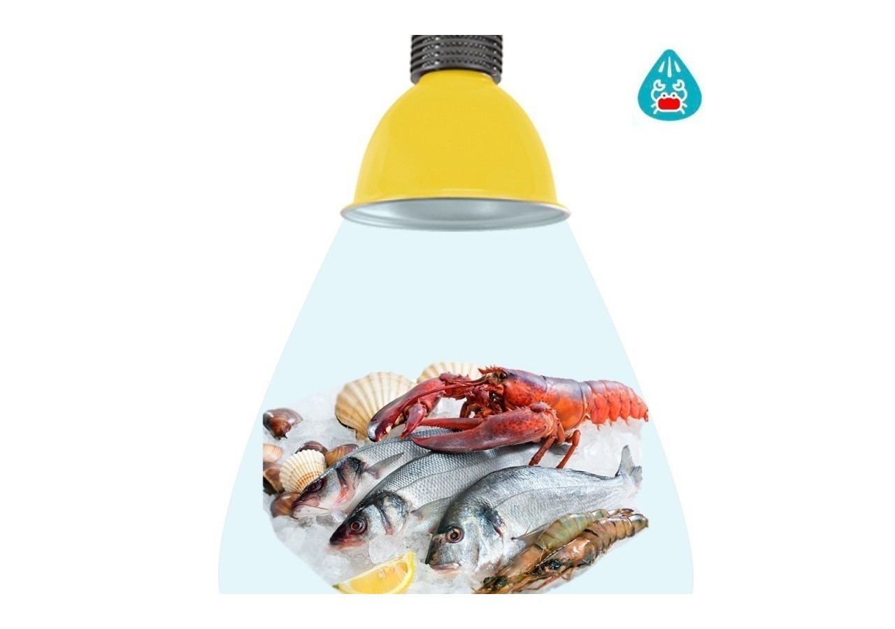 Cloche LED 30W spécial poissons et fruits de mer - B8700-AM-PYM - Barcelona LED