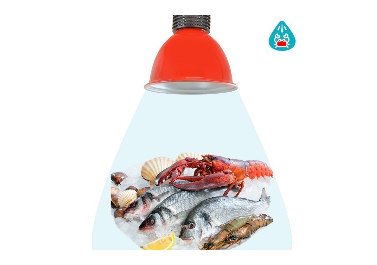 Cloche LED 30W spécial poissons et fruits de mer - B8700-RO-PYM - Barcelona LED