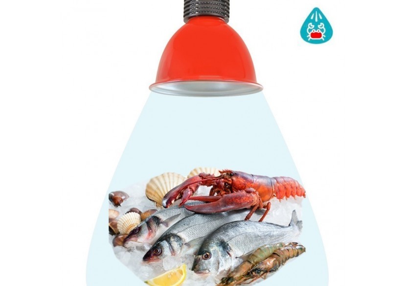 Cloche LED 30W spécial poissons et fruits de mer - B8700-RO-PYM - Barcelona LED