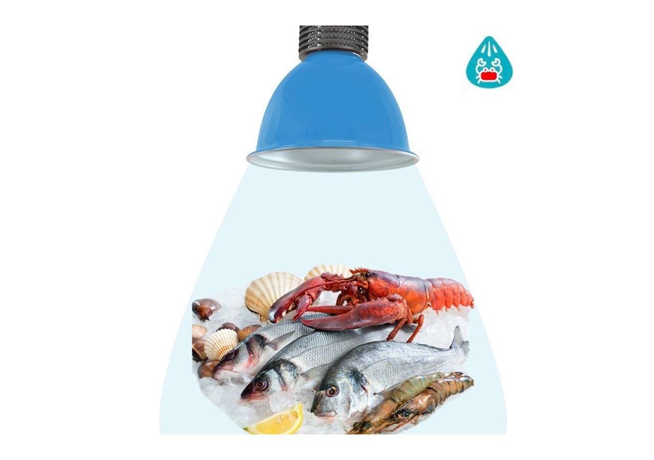 Cloche LED 30W spécial poissons et fruits de mer - B8700-AZ-PYM - Barcelona LED