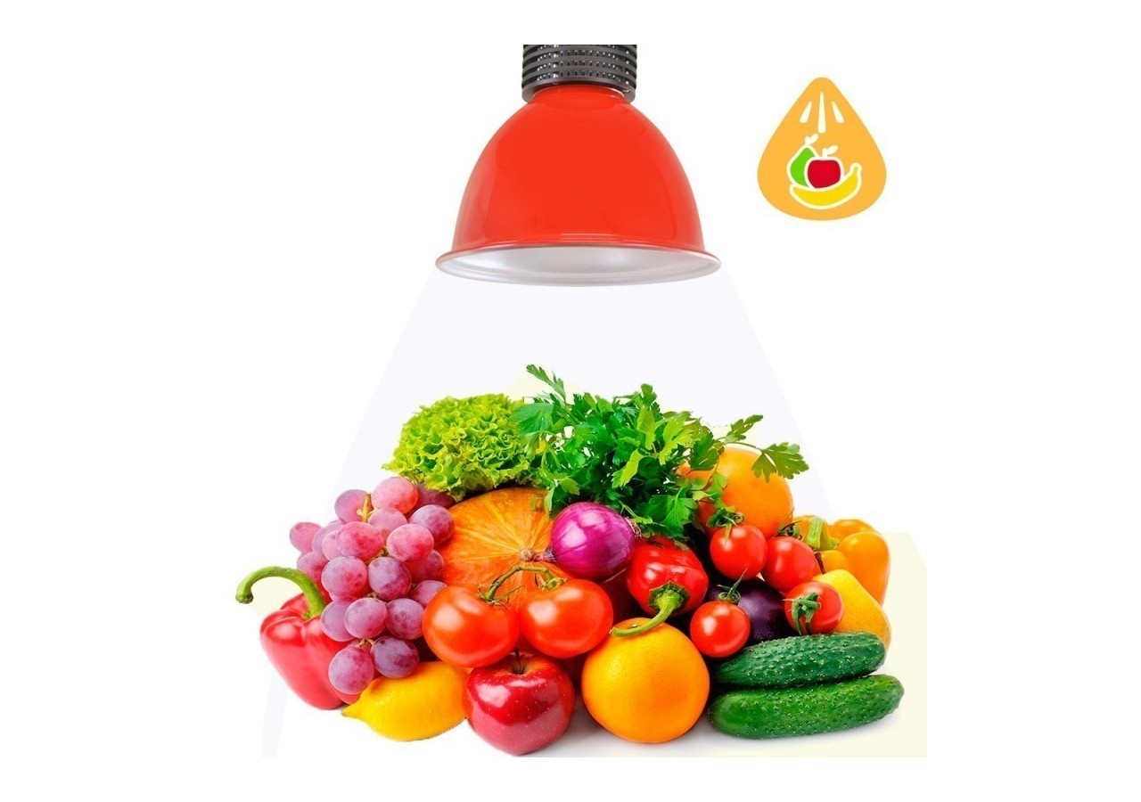 Cloche LED 30W spécial fruits et légumes - B8700-RO-FYV - Barcelona LED