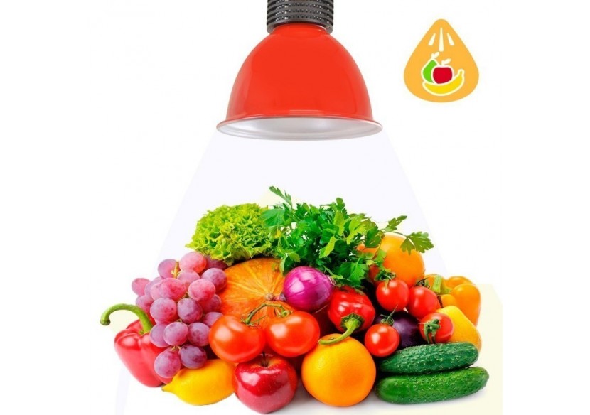 Cloche LED 30W spécial fruits et légumes - B8700-RO-FYV - Barcelona LED