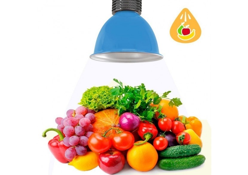Cloche LED 30W spécial fruits et légumes - B8700-AZ-FYV - Barcelona LED
