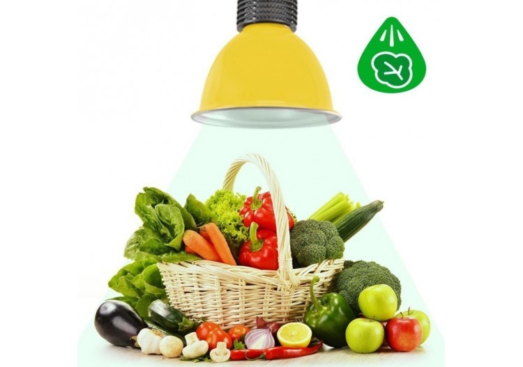Cloche LED 30W spécial légumes verts - B8700-AM-VER - Barcelona LED