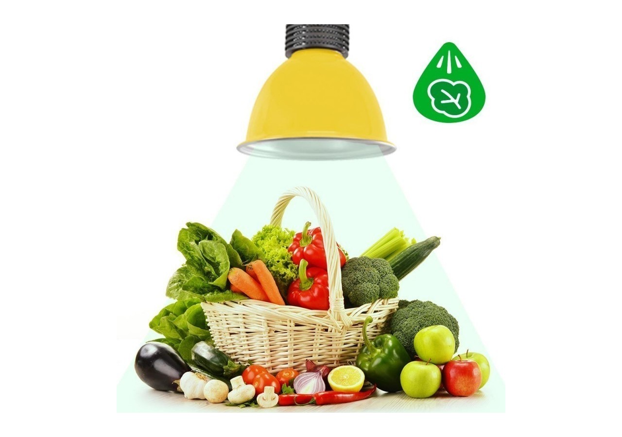 Cloche LED 30W spécial légumes verts - B8700-AM-VER - Barcelona LED