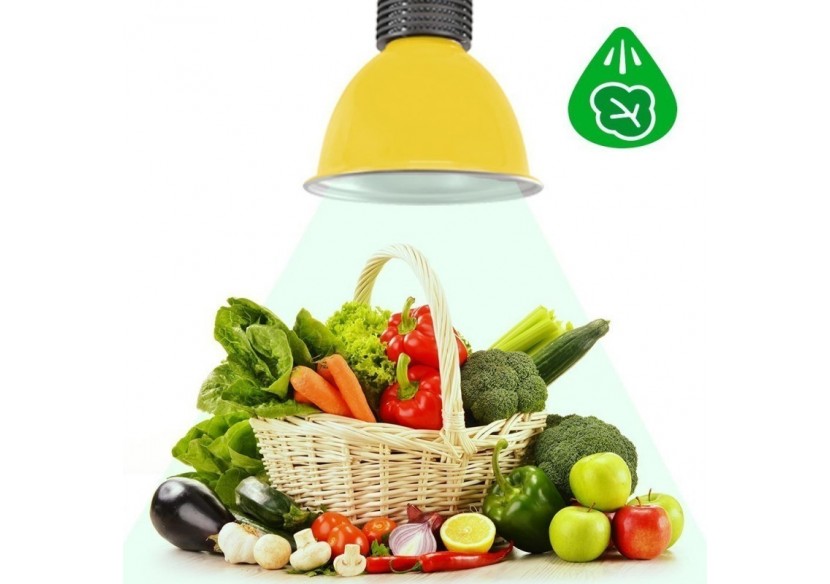 Cloche LED 30W spécial légumes verts - B8700-AM-VER - Barcelona LED