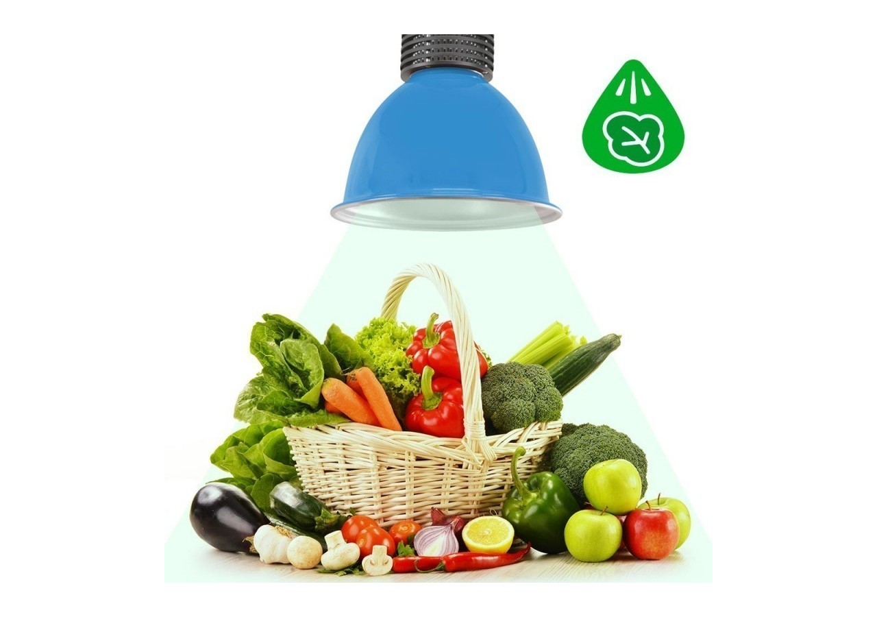 Cloche LED 30W spécial légumes verts - B8700-AZ-VER - Barcelona LED