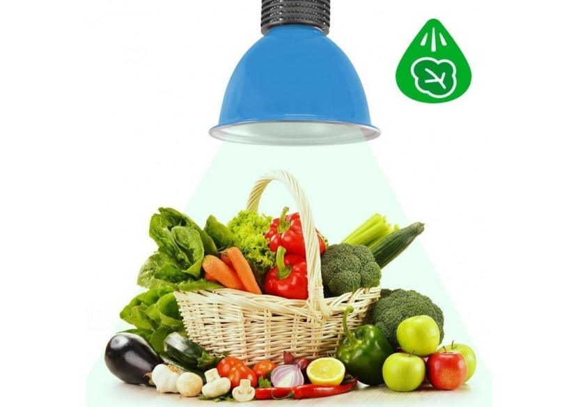Cloche LED 30W spécial légumes verts - B8700-AZ-VER - Barcelona LED