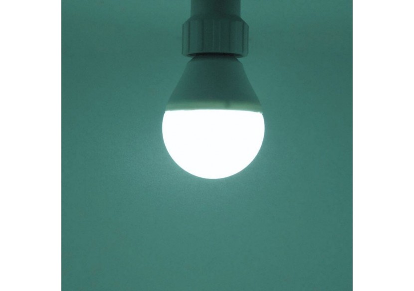 Ampoule LED E14 4W G45 5W Globe - B1313-E14-BF1 - Barcelona LED