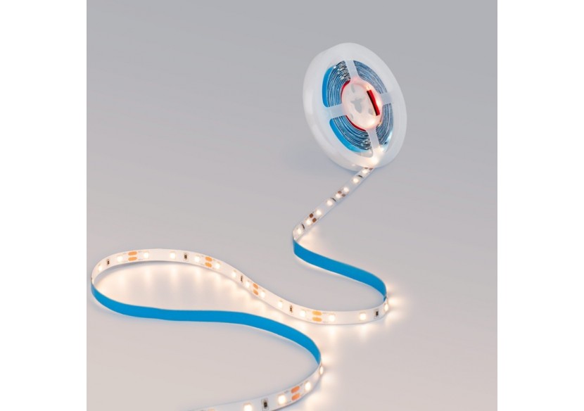 Ruban LED 12V DC-6W/m-Monochrome-8mm-IP20-Rouleau de 5m-60 LED/m - B1508BC - Barcelona LED