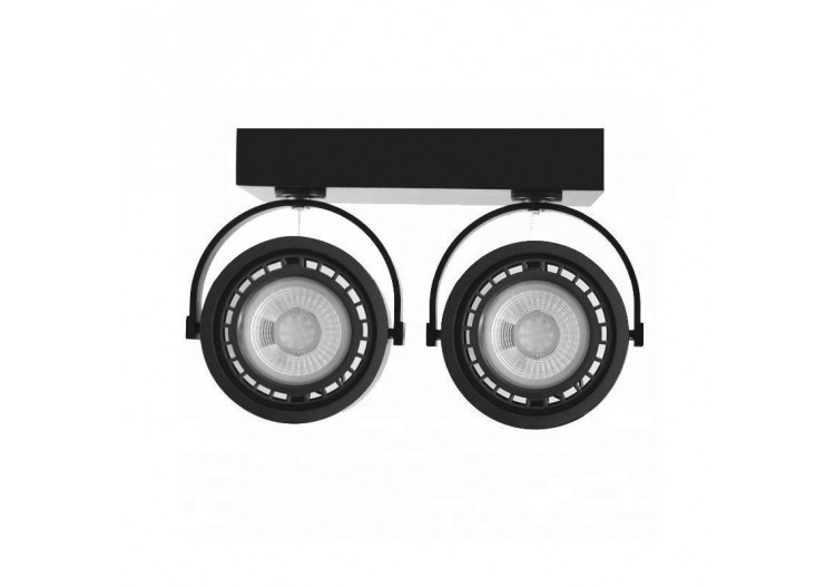 Plafonnier "IRIS-2 " 2 x...