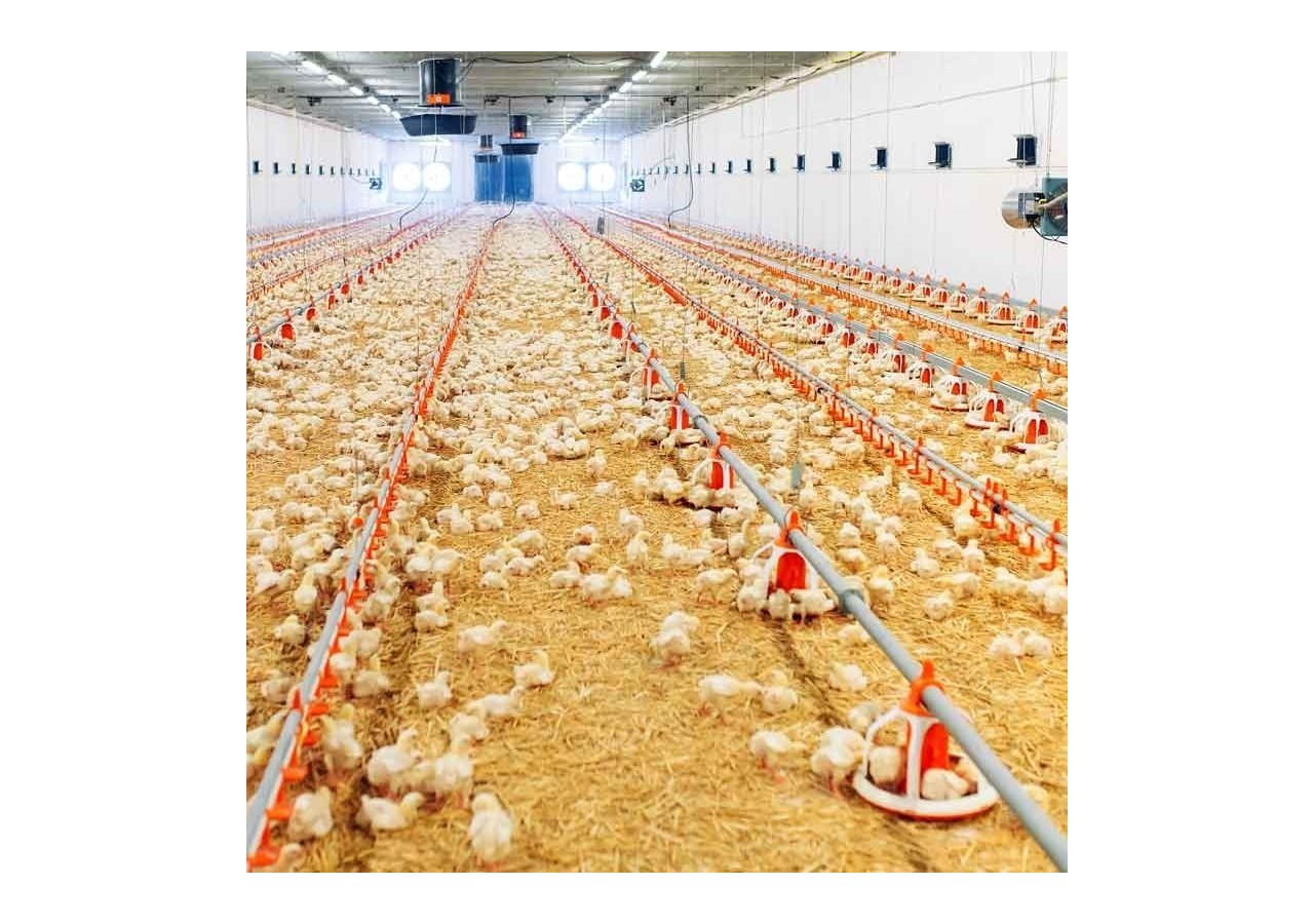 Réglette LED étanche tubulaire 30W IP68 120cm pour fermes - B8490-120BN - Barcelona LED