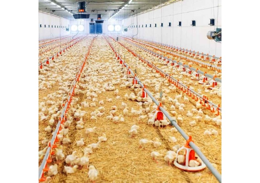 Réglette LED étanche tubulaire 30W IP68 120cm pour fermes - B8490-120BN - Barcelona LED