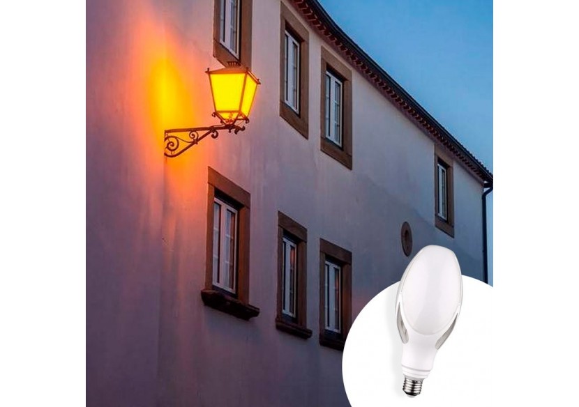 Ampoule industrielle ED90 LED E27 40W - B7027-BF1 - Barcelona LED