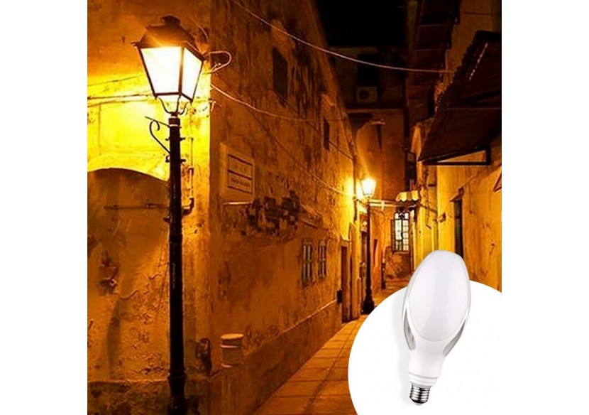 Ampoule industrielle ED90 LED E27 40W - B7027-BF1 - Barcelona LED