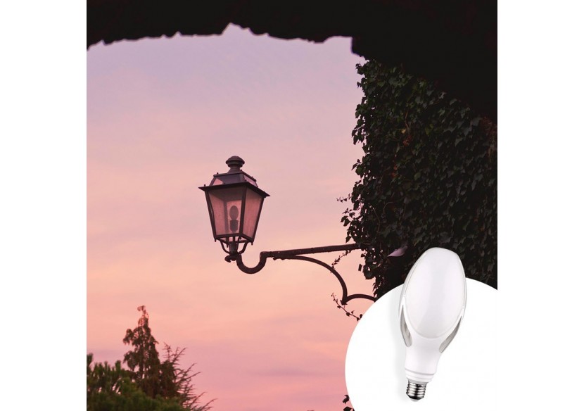 Ampoule industrielle ED90 LED E27 40W - B7027-BF1 - Barcelona LED