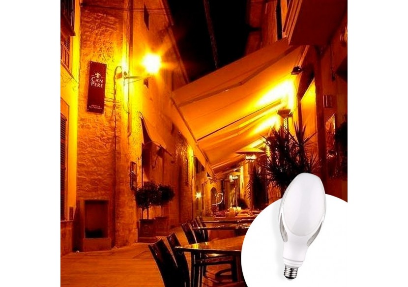 Ampoule industrielle ED90 LED E27 40W - B7027-BF1 - Barcelona LED