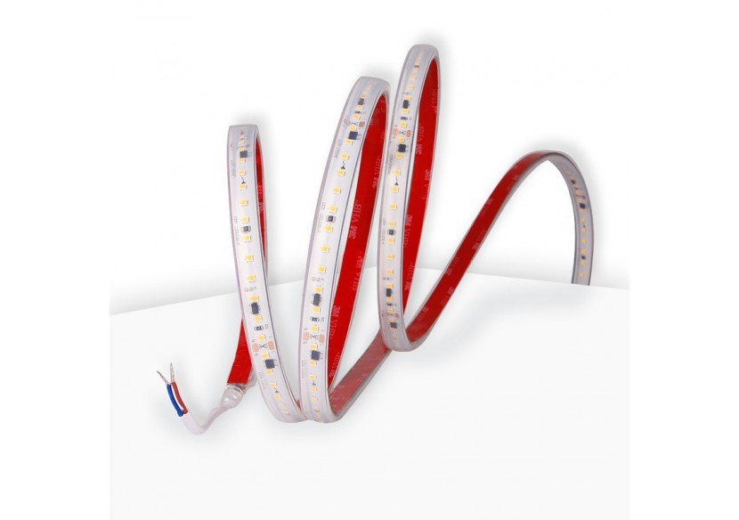 Ruban LED 230V 300W (2400xSMD2835) 12mm IP67 Rouleau de 20m - B1540-BF - Barcelona LED