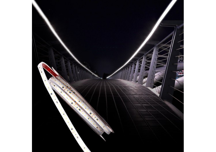 Ruban LED 230V 75W (600xSMD2835) 12mm IP67 Rouleau de 5 mètres - B1535-BF - Barcelona LED 2