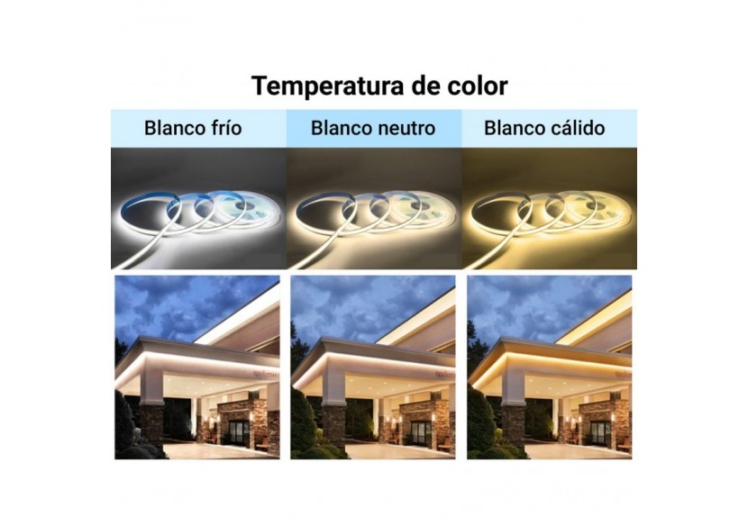 Ruban LED COB 24V DC-12W/m-10mm-IP20-Rouleau de 10 mètres-Sécable tous les 5cm - B1559-10-270 - Barcelona LED