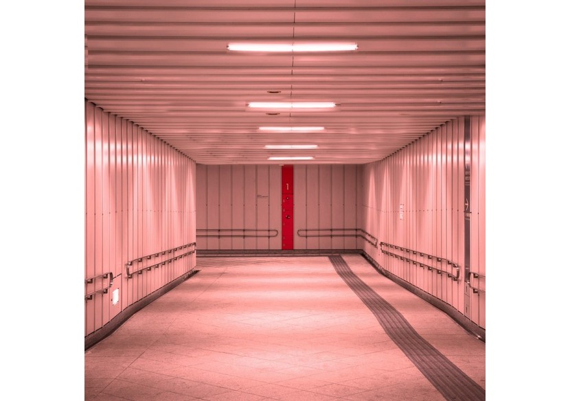 Tube de couleur LED T8 60cm-9W - B4000-60-RO - Barcelona LED