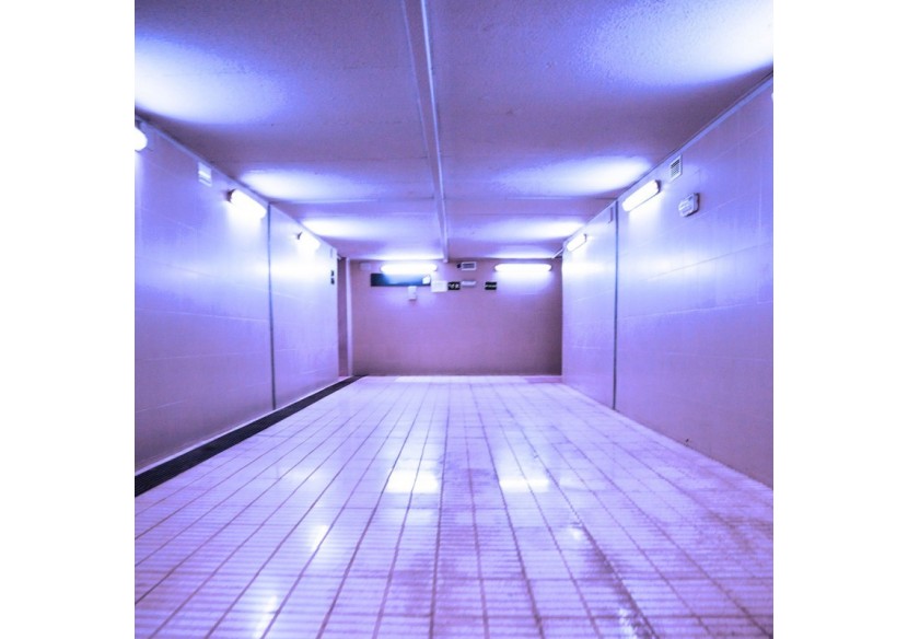 Tube de couleur LED T8 120cm 18 W - B4000-120-AZ - Barcelona LED