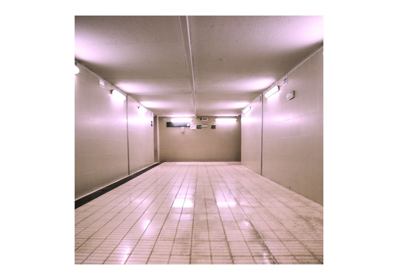 Tube de couleur LED T8 120cm 18 W - B4000-120-SA - Barcelona LED