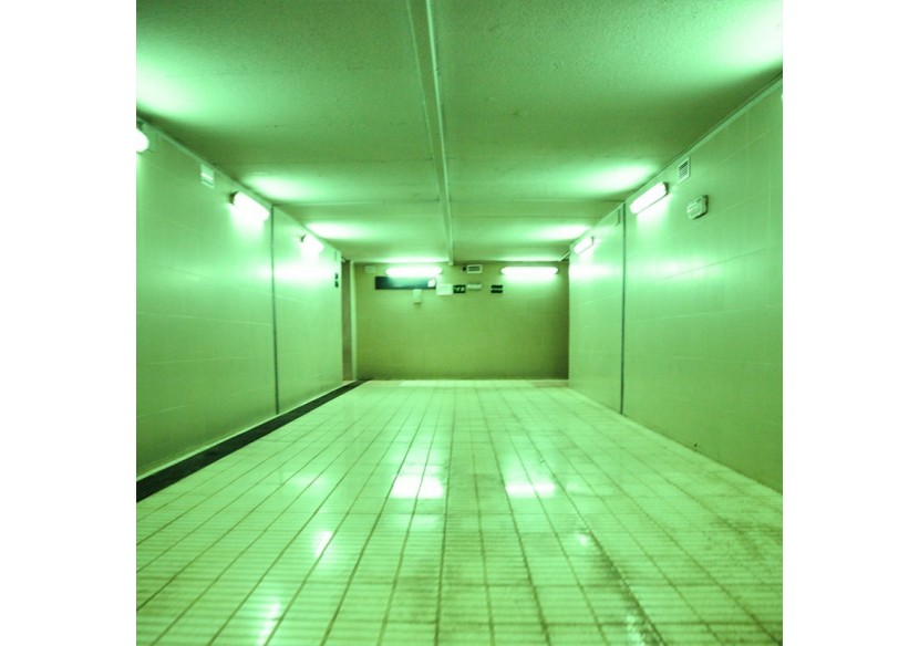 Tube de couleur LED T8 120cm 18 W - B4000-120-VE - Barcelona LED