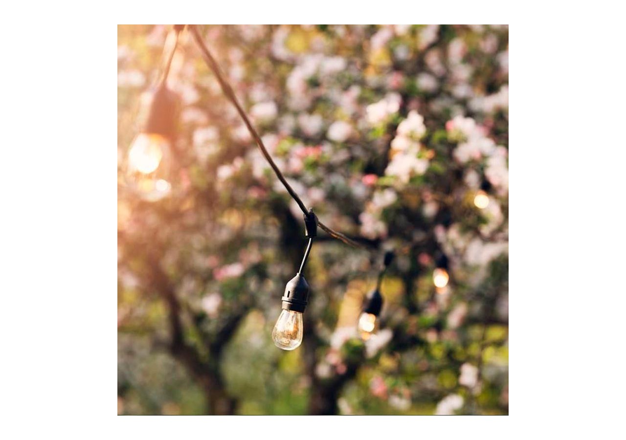 Ampoule LED E27 S14 Transparente 1W - B1317-E27-AR - Barcelona LED