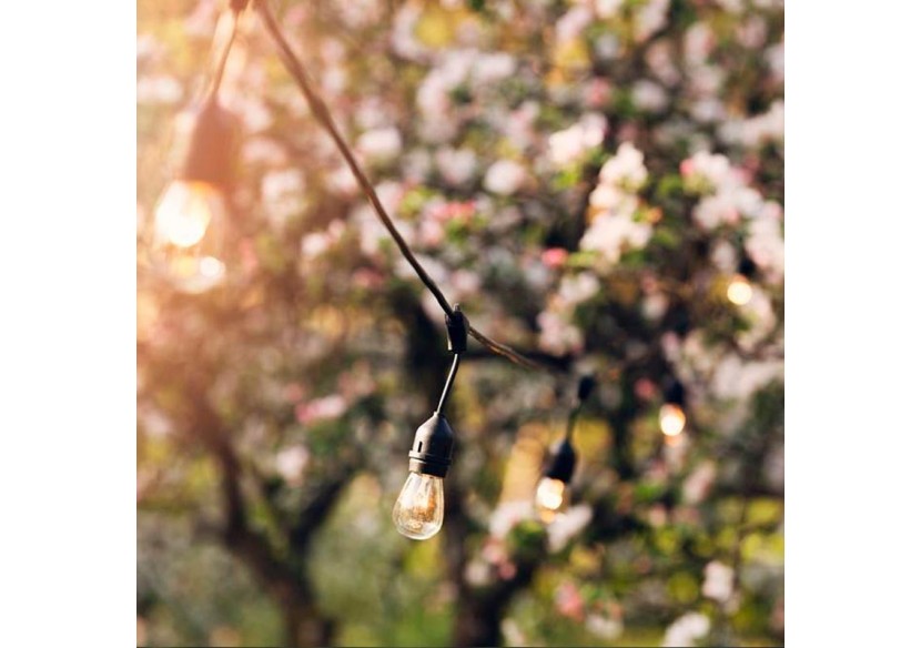 Ampoule LED E27 S14 Transparente 1W - B1317-E27-270 - Barcelona LED