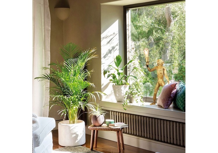 Lampe design singe en résine "Micu" - L4030-MP - Barcelona LED 2