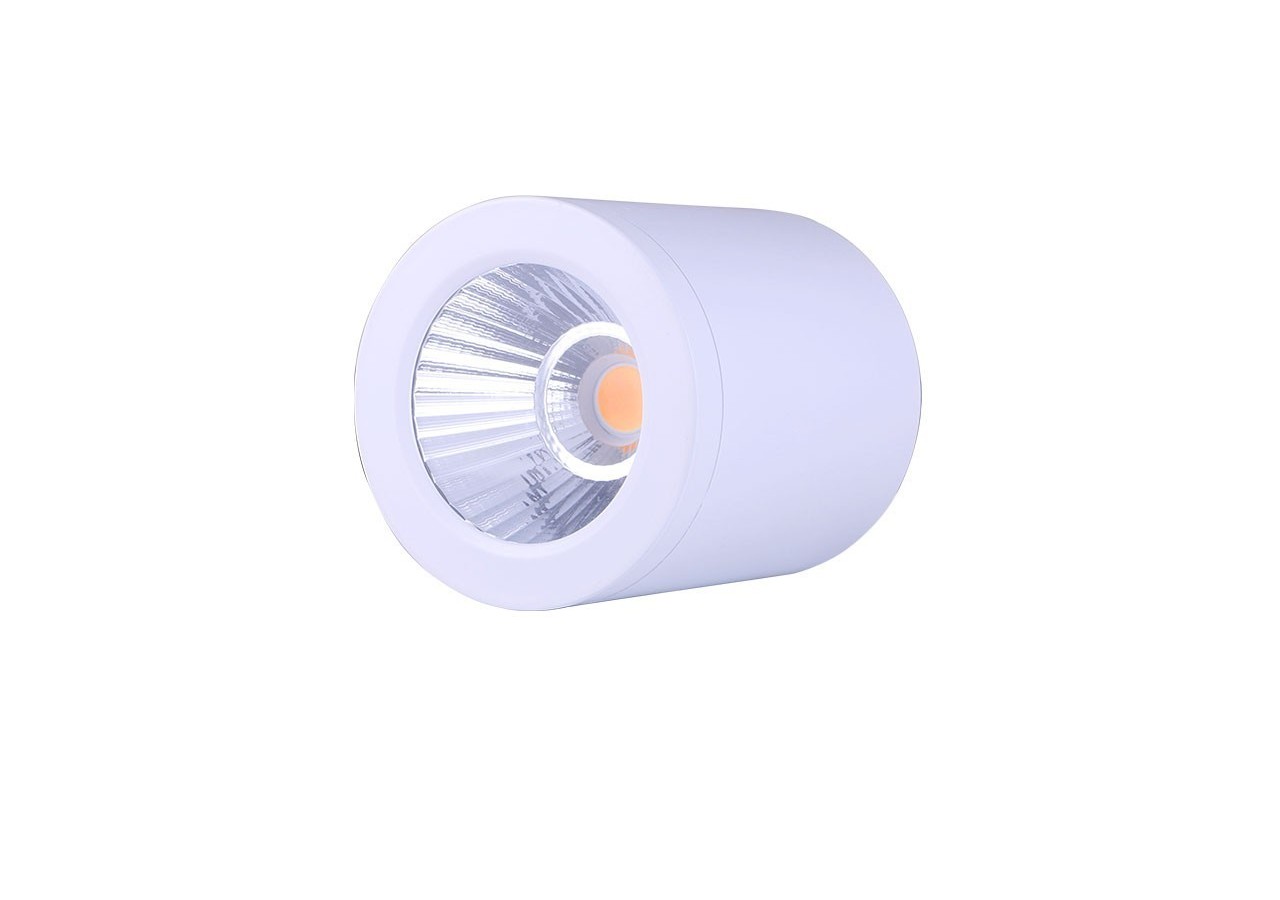 Applique plafond CCT mini "Gess" COB 15W IP54 - L6001-B-CCT - Barcelona LED