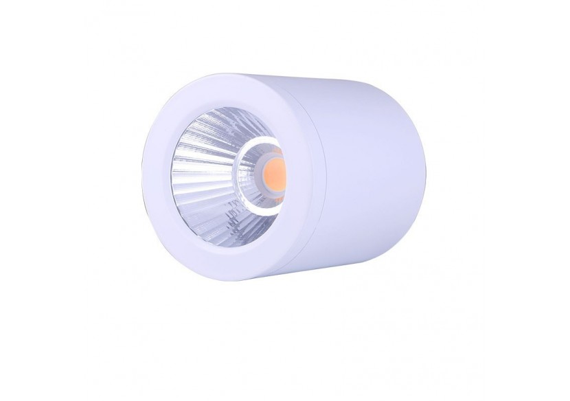 Applique plafond CCT mini "Gess" COB 15W IP54 - L6001-B-CCT - Barcelona LED Applique plafond CCT mini "Gess" COB 15W IP54 - L6001-B-CCT - Barcelona LED
