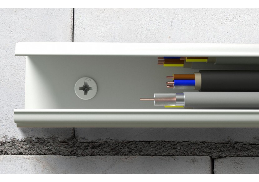 Cheville à frapper avec collerette épaisse et clou tête fraisée N 8 x 60/20 F