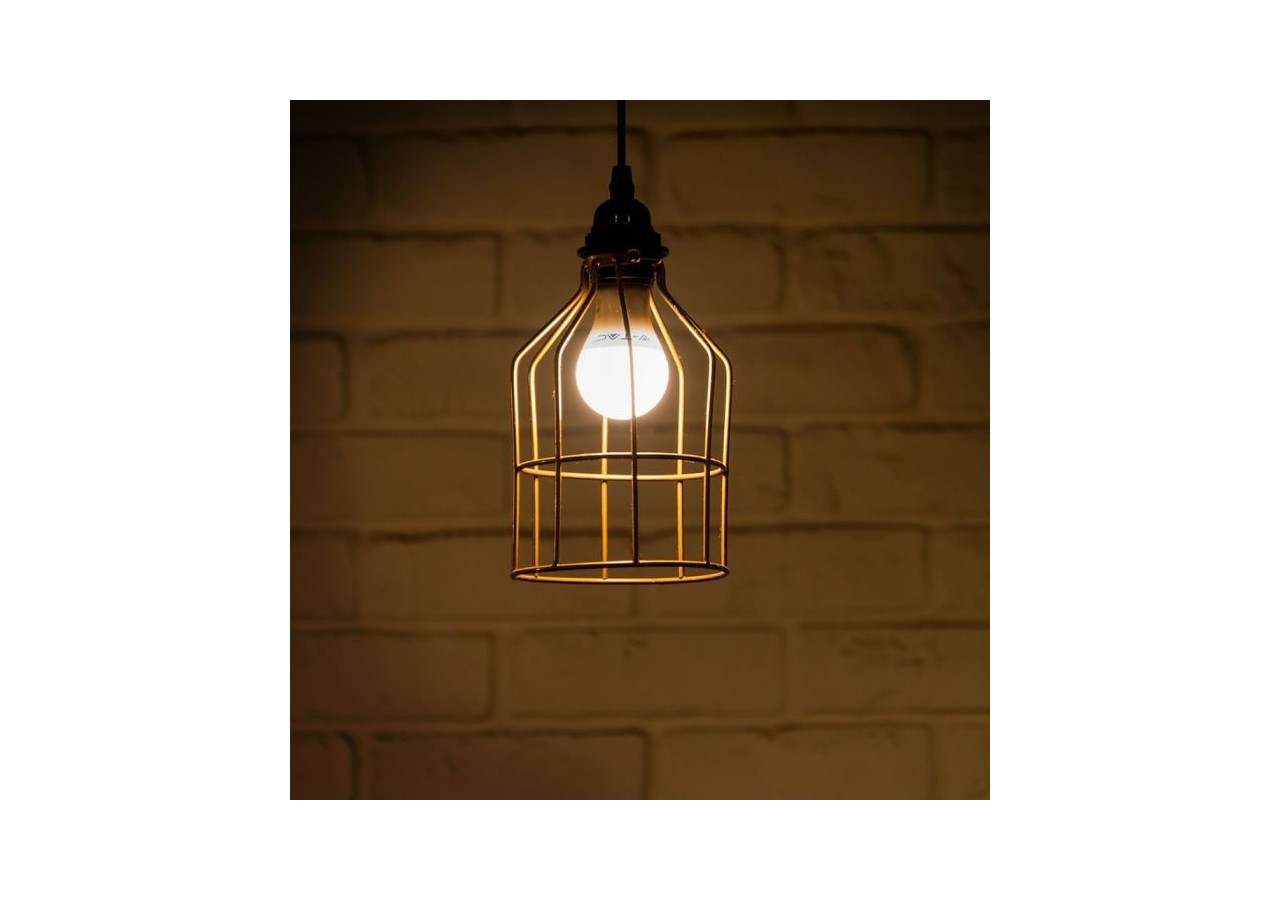 Ampoule LED - 9W E27 A60 Thermoplastique Changement de Couleur