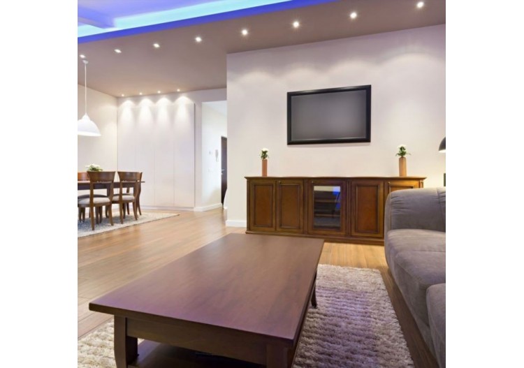 Ampoule LED 8W Filament Droit E27 R125 Gradable 6500K