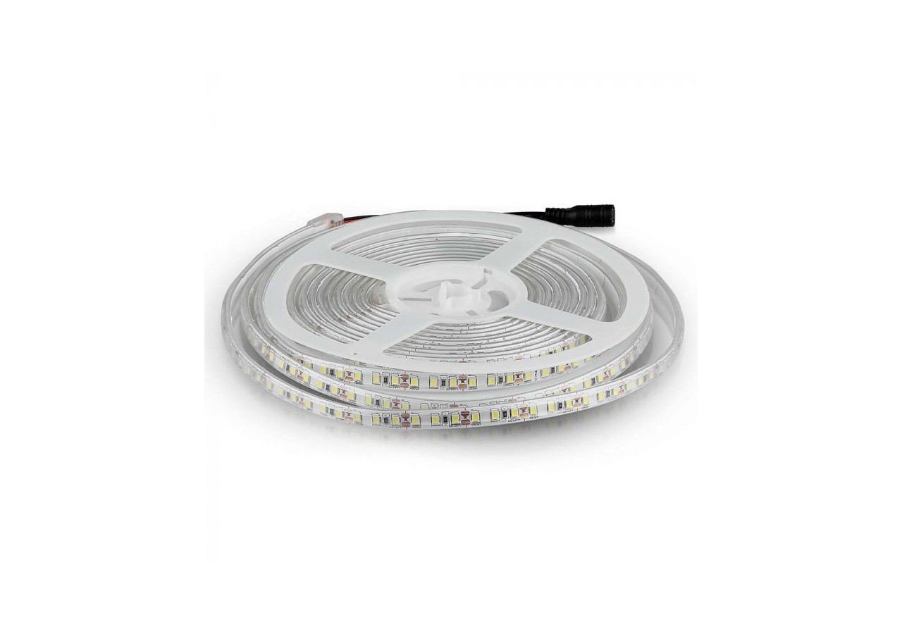 Bande LED SMD3528 120 LED 6500K IP65